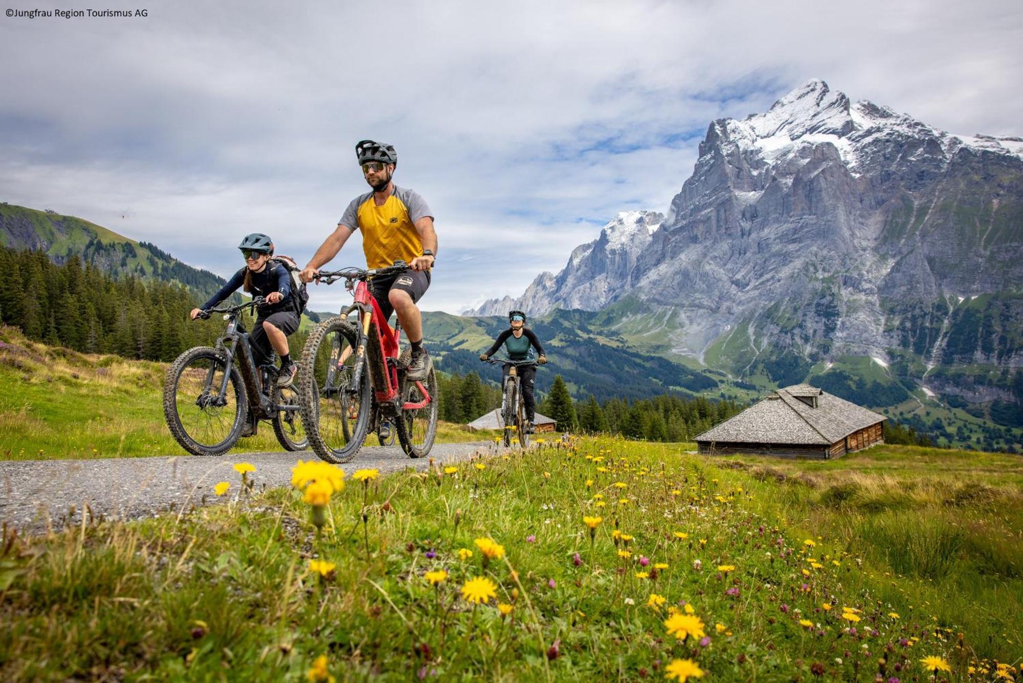 Parkhotel Schoenegg Grindelwald Dış mekan fotoğraf