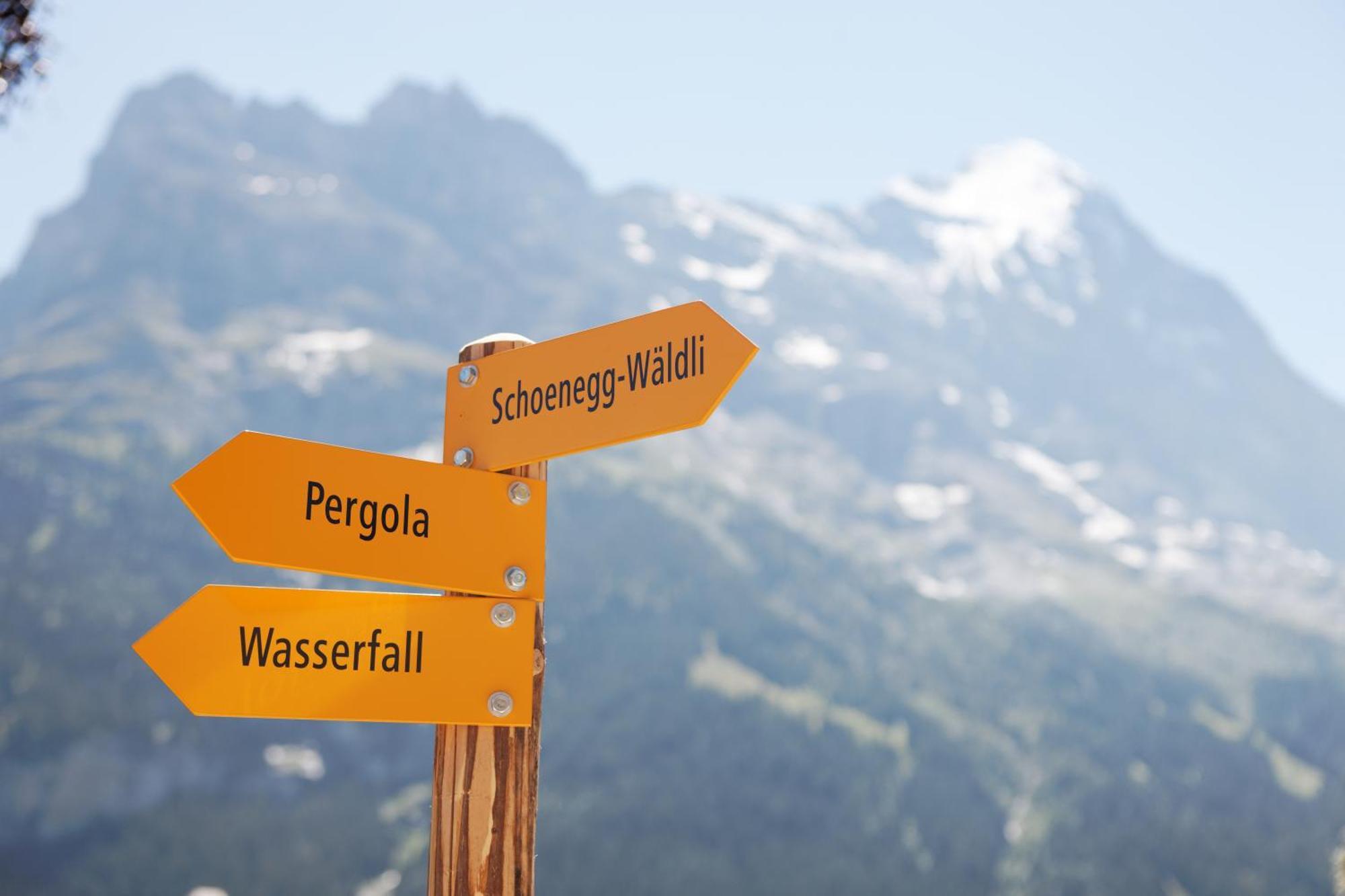 Parkhotel Schoenegg Grindelwald Dış mekan fotoğraf