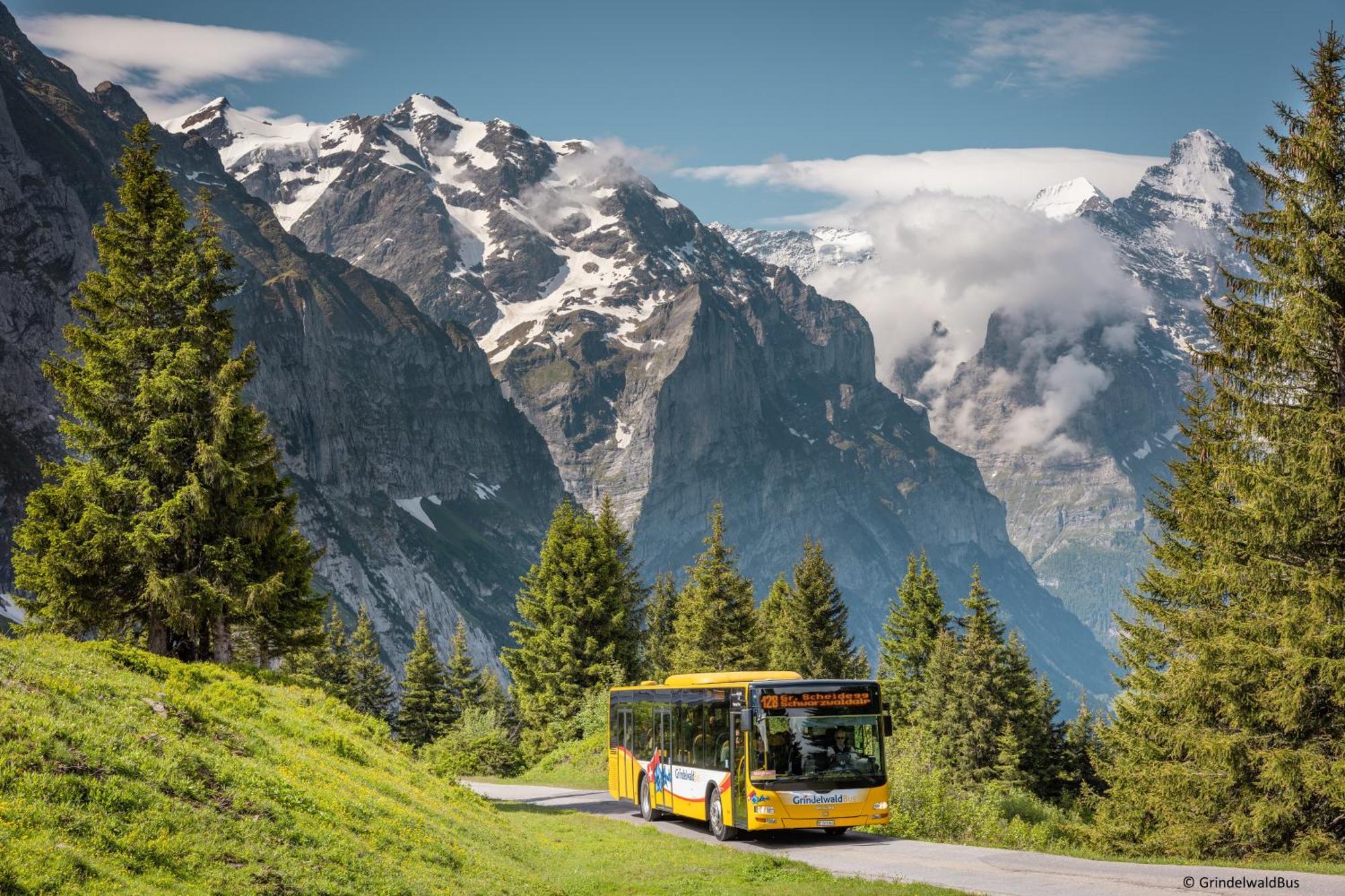 Parkhotel Schoenegg Grindelwald Dış mekan fotoğraf